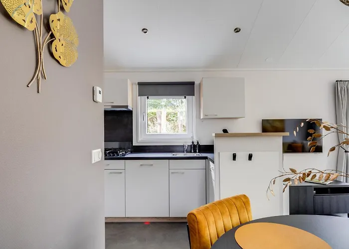 Modern Ingericht Op Park Op De Veluwe *