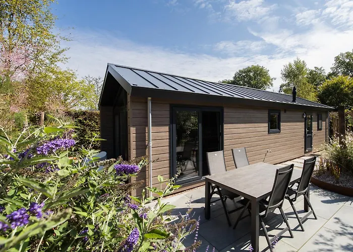 Ferienhaus Modern Ingericht Op Park Op De Veluwe
