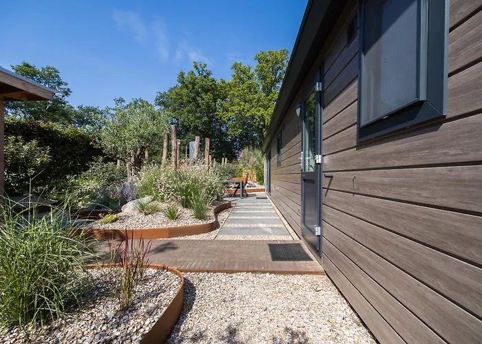 Ferienhaus Modern Ingericht Op Park Op De Veluwe *