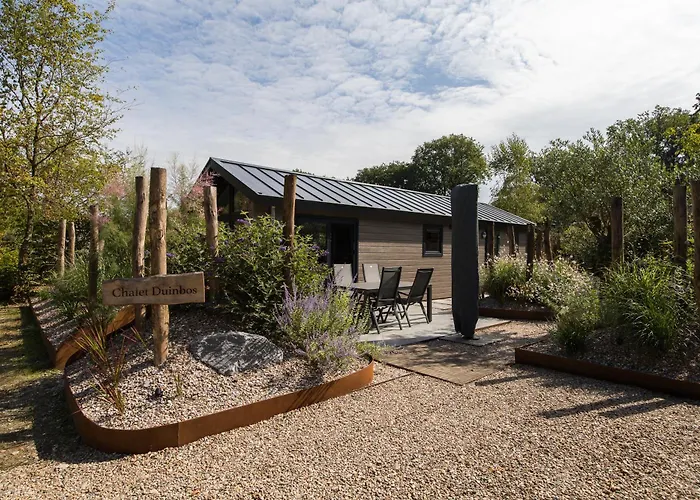 Modern Ingericht Op Park Op De Veluwe Ferienhaus Epe