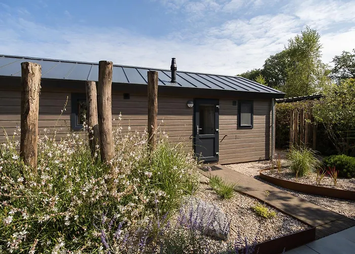 Ferienhaus Modern Ingericht Op Park Op De Veluwe Epe
