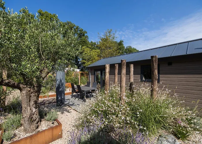 Modern Ingericht Op Park Op De Veluwe Ferienhaus