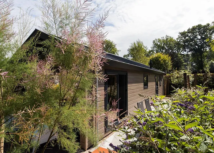 Ferienhaus Modern Ingericht Op Park Op De Veluwe