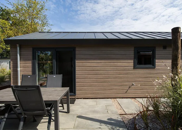 Modern Ingericht Op Park Op De Veluwe Ferienhaus