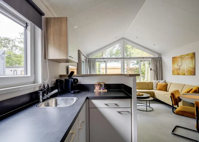 Ferienhaus Modern Ingericht Op Park Op De Veluwe *