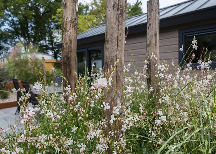 Ferienhaus Modern Ingericht Op Park Op De Veluwe Epe