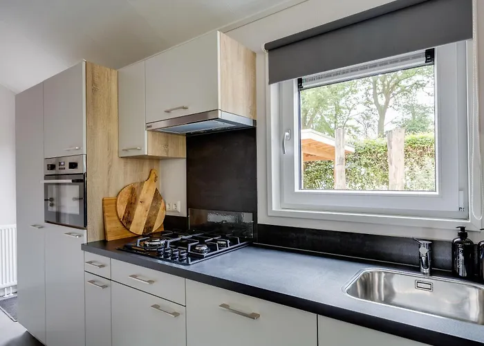 Modern Ingericht Op Park Op De Veluwe Epe