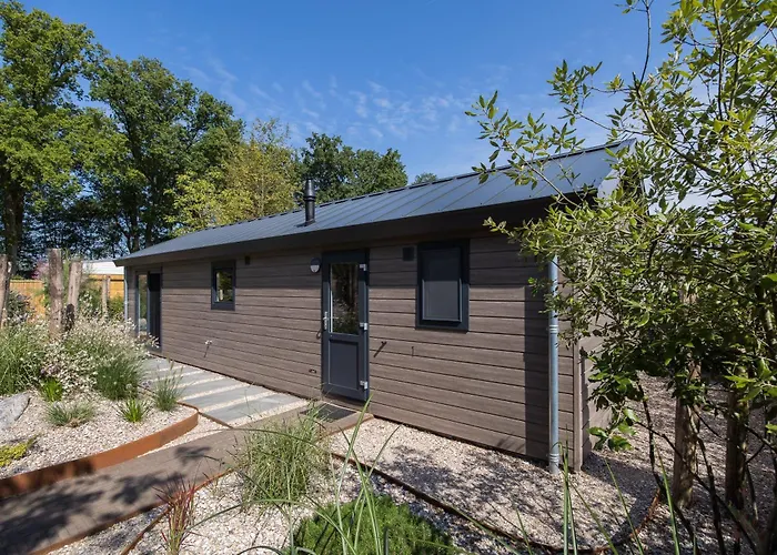 Ferienhaus Modern Ingericht Op Park Op De Veluwe *