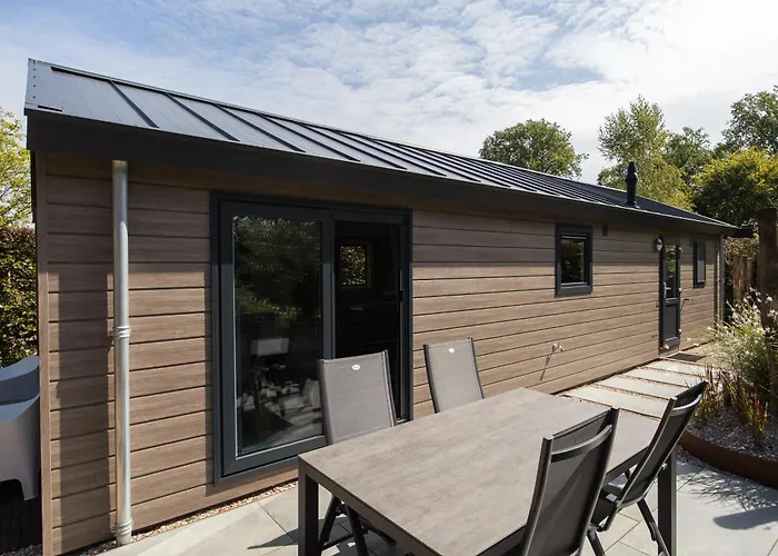 Ferienhaus Modern Ingericht Op Park Op De Veluwe Epe