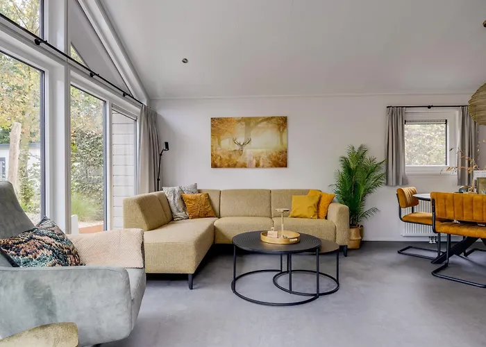 Modern Ingericht Op Park Op De Veluwe Epe